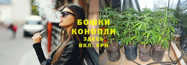 кокс Белокуриха