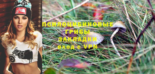 кокс Белокуриха