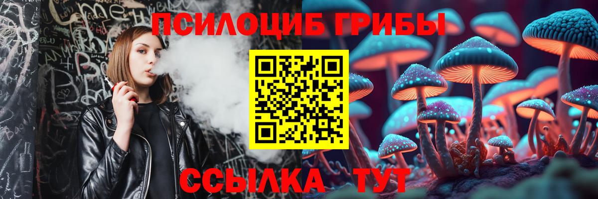 как найти наркотики  Вход с VPN  Надым  Галлюциногенные грибы Cubensis  Псилоцибиновые грибы ЛСД 